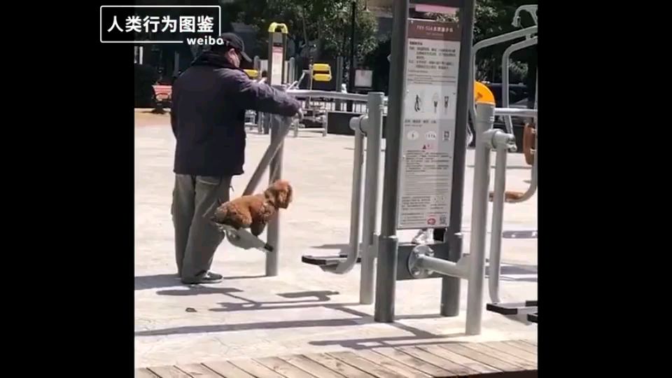 中国大爷图鉴